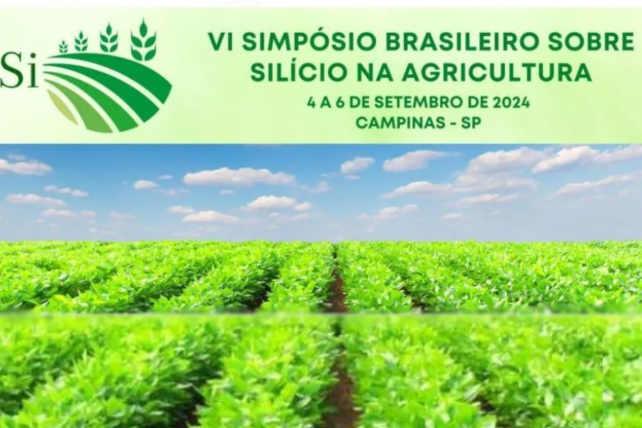 silicio-na-agricultura