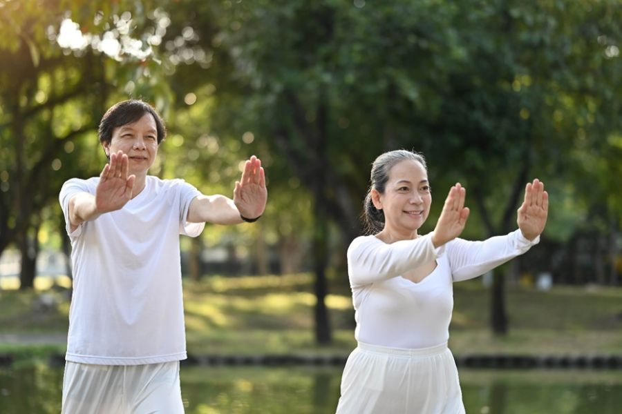 tai-chi-chuan