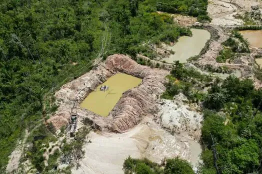 Terra Indígena Kayapó tem mais de 17% de área tomada pelo fogo