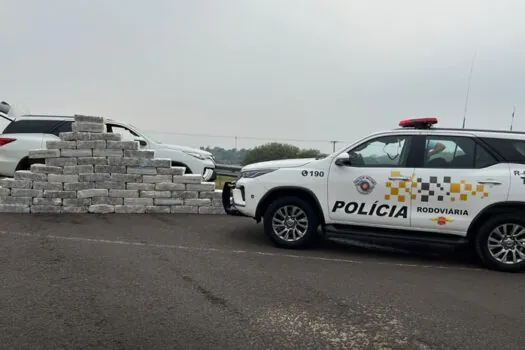 Homem é preso com mais de 1 tonelada de maconha em rodovia no interior de SP