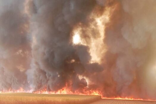 SP tem ao menos seis cidades com focos de incêndio nesta segunda