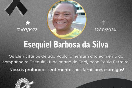 Funcionário da Enel morre atingido por árvore em SP durante trabalho na rede