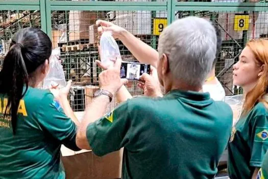 Ibama apreende peixes ornamentais no aeroporto de Guarulhos