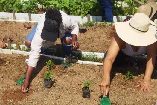 Diadema promove capacitação para agricultoras das hortas comunitárias