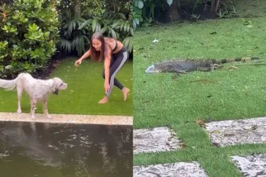 Anitta encontra réptil em piscina após furacão Milton