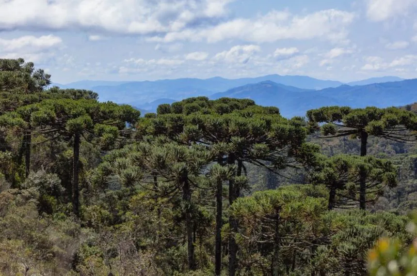 Campos do Jordão é etapa pioneira a receber a WTR no Estado de SP (Crédito Felipe Almeida)