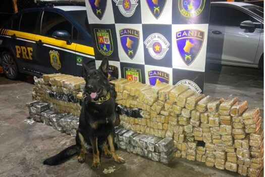 Cão da PM ajuda a encontrar meia tonelada de droga em caminhão na Grande SP