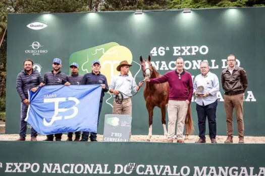 Exposição nacional de cavalo mangalarga volta à capital paulista