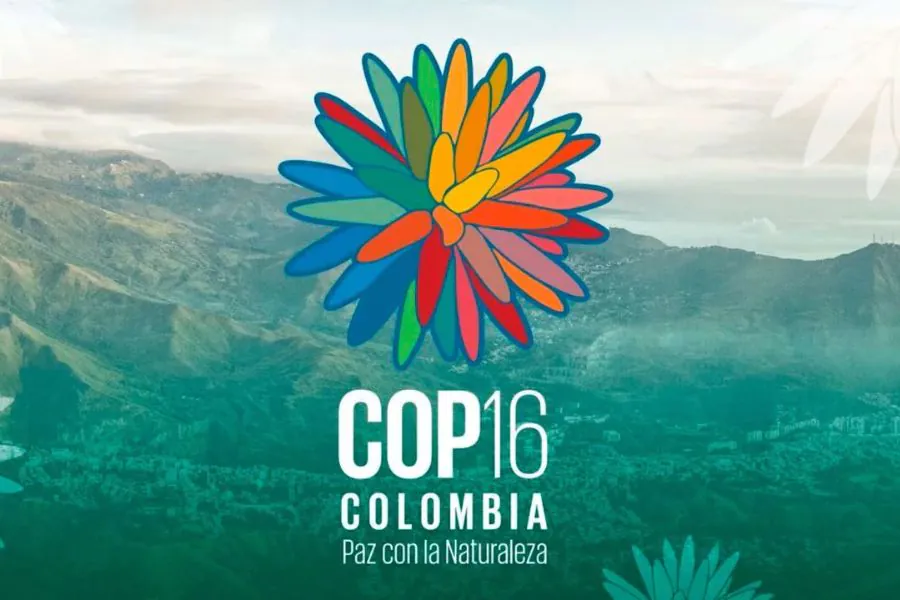 cop-16-colombia