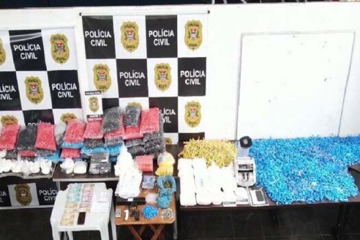 Deic causa prejuízo de R$ 1,2 milhão ao crime organizado com apreensão de drogas