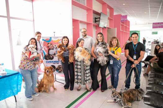 São Caetano lança projeto Cuidando com Patas e leva pets para interagir com pacientes