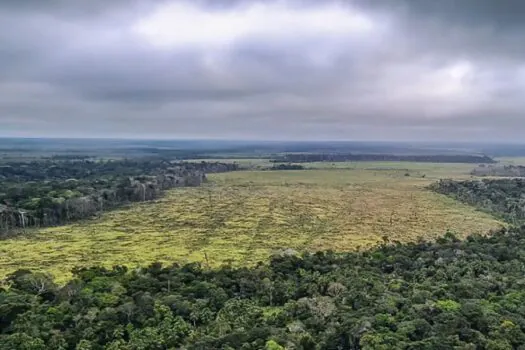 Degradação de florestas na Amazônia bate recorde mensal em setembro