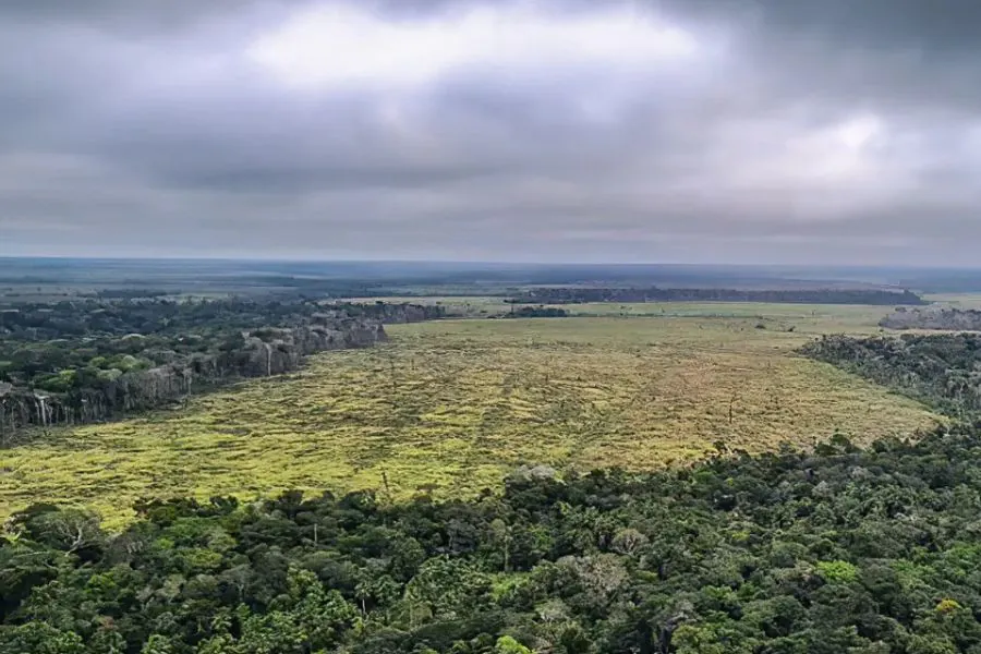 degradacao-amazonia