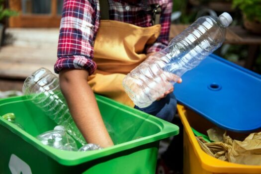 Educação como ferramenta de transformação ambiental