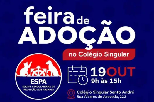 Colégio Singular sedia feira de adoção animal