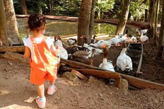 Dia das Crianças: Passeios imperdíveis em Socorro (SP)