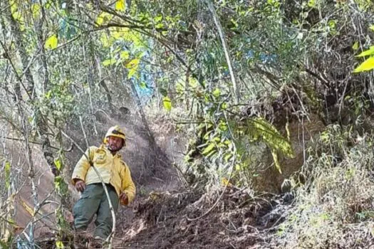 Exército é multado em R$ 6,5 milhões por incêndio no Parque Nacional do Itatiaia