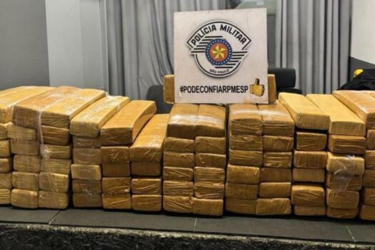 PM apreende 100 kg de maconha na Baixada Santista