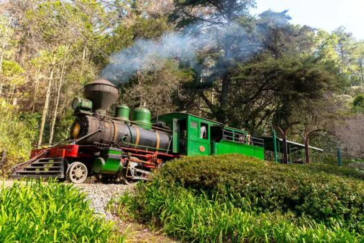 Crianças têm entrada gratuita neste sábado (12) no Parque Bambuí Campos do Jordão