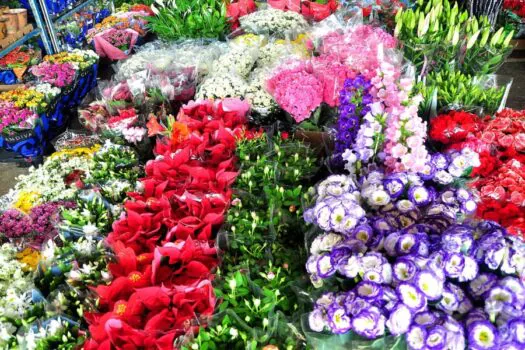 Mercado de Flores da Craisa é opção de compras para o Dia de Finados