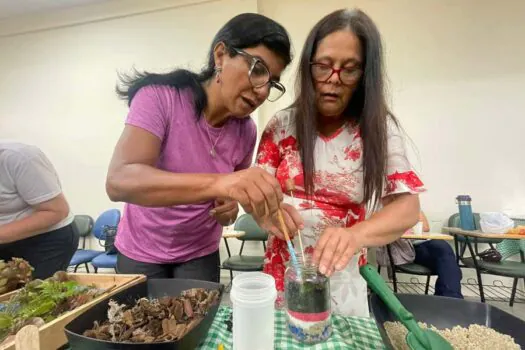 Com oficina de terrário e visita à biblioteca, coordenadores participam de formação do LEEI