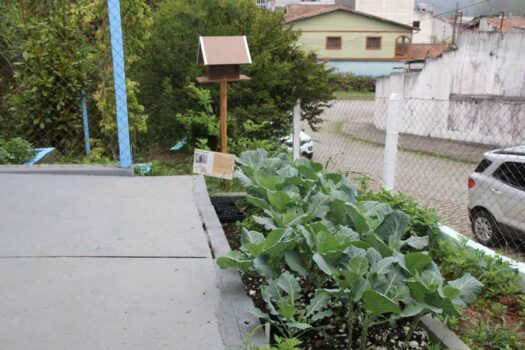 Em projeto piloto, Ribeirão Pires tem sua primeira escola focada em desenvolvimento sustentável