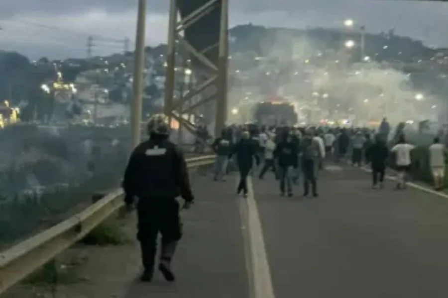 palmeiras-e-cruzeiro