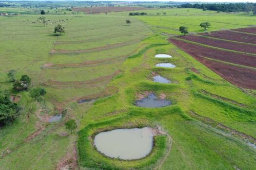 Conheça histórias de produtores rurais remunerados por preservar o meio ambiente