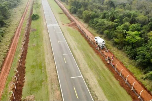 SP investe em dispositivos para proteger animais que cruzam rodovia em Presidente Prudente