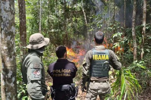 Com mais de 2 mil operações na TIY, vai a zero o surgimento de novos garimpos em setembro