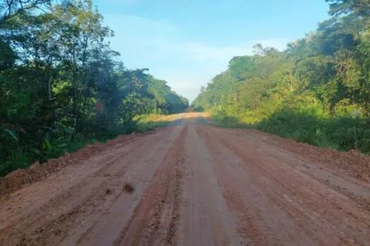 Justiça volta autorizar licença prévia para pavimentação da BR-319