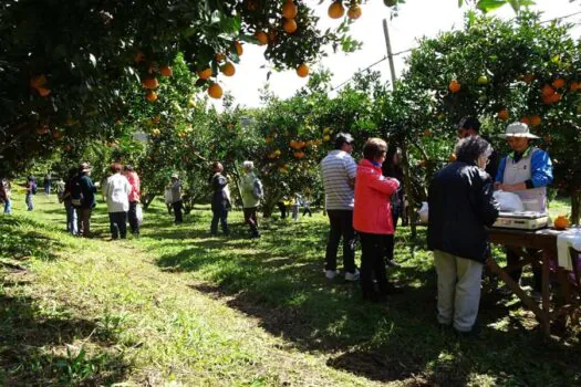 Governo de SP leva para o interior capacitação com foco no turista sênior