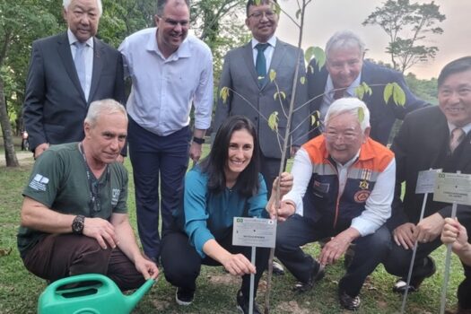 Parque às margens do Rio Tietê recebe plantio de mudas em homenagem à parceria de SP com o Japão