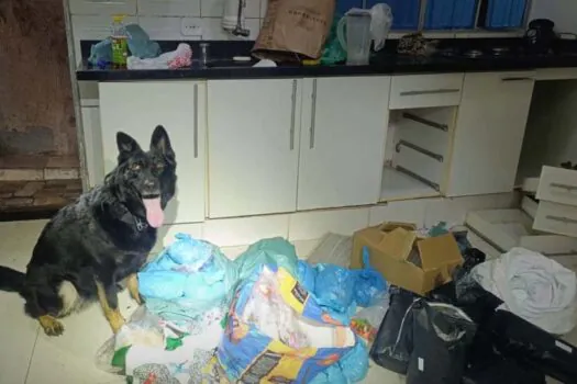 Cão do Baep localiza ‘casa bomba’ com quase 30 kg de drogas na zona sul de SP