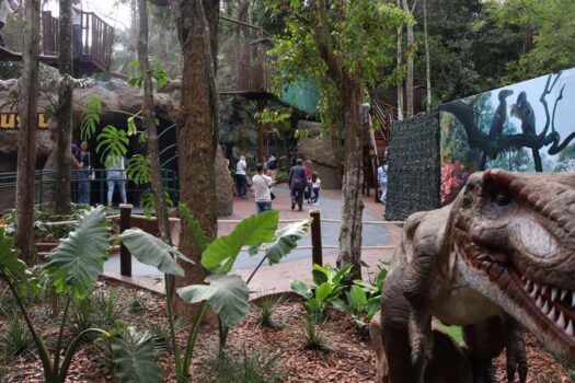 Zoo e o Jardim Botânico de SP celebraram Dia das Crianças com milhares de famílias