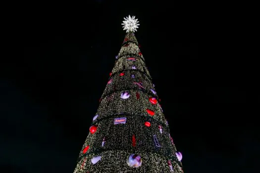 São Paulo inaugura árvore de Natal gigante de 55m no Parque Villa-Lobos