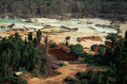 Operação de expulsão de garimpeiros mira 21 pistas clandestinas na terra mundurucu