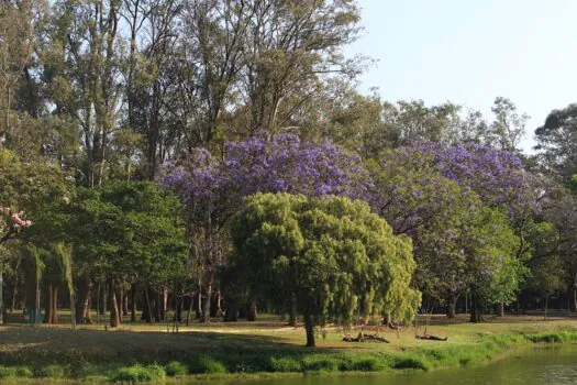 Horto Florestal recebe o Festival Tropical e Parque Ibirapuera o Grupo musical ‘Brasil Mosaico’