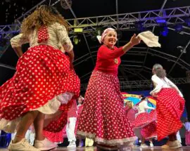 Título do post: 1 Bienal do Samba SP encerra com programao artstica e cultural na Faculdade Zumbi dos Palmares