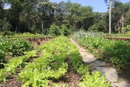 Ribeirão Pires terá curso gratuito de gastronomia sustentável em novembro