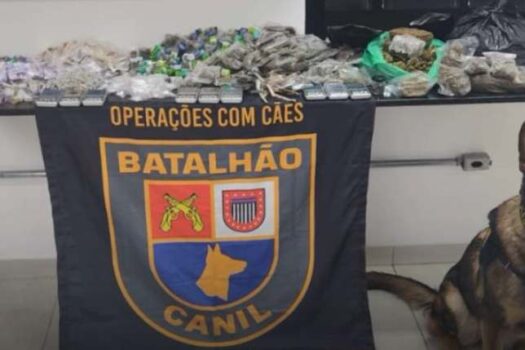 Cadela Aisha ajuda PM a localizar mais de 1,4 mil porções de drogas na zona norte de SP