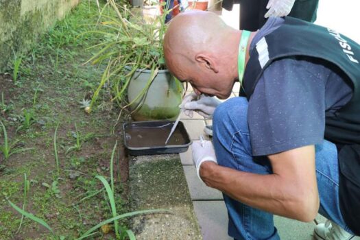 Ressurgimento do Sorotipo 3 da dengue no Brasil levanta preocupações