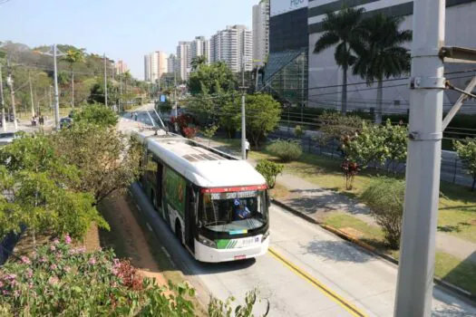 Primeira Floresta Urbana Linear em corredor de ônibus garante menos poluição e mais saúde