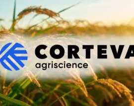 Título do post: Corteva Agriscience abre inscries para programa de estgio com incio em fevereiro de 2025