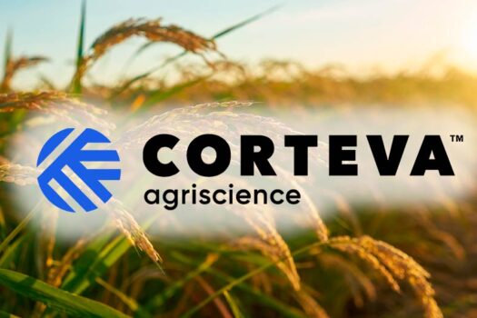 Corteva Agriscience abre inscrições para programa de estágio com início em fevereiro de 2025