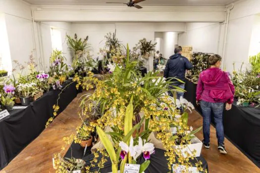 Jardim Botânico de SP comemora 96 anos com Exposições de Orquídeas e Bromélias