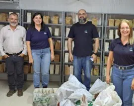 Título do post: Instituto de Zootecnia recebe visita da Fealq