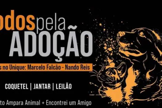 Marcelo Falcão e Nando Reis são atrações de jantar e leilão beneficente “Todos Pela Adoção” em SP 