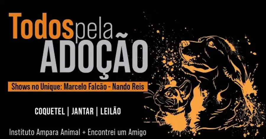 feira-de-adocao-musicas