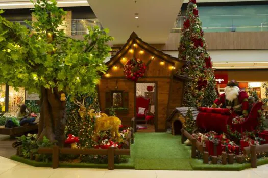 Shopping Parque da Cidade une sustentabilidade e magia em Floresta Encantada de Natal